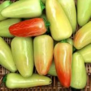 Jaloro Pepper Seeds