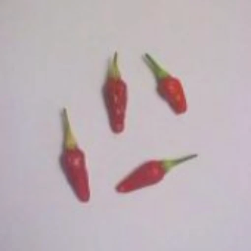 Jamaican Hot Pepper (Red Small Type 1) HP731-10