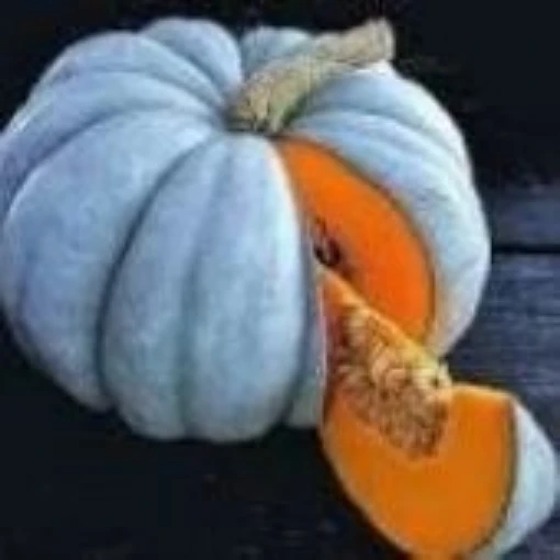 Jarrahdale Pumpkins PM18-10