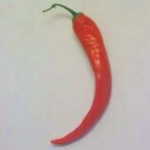 Jatiliaba Hot Peppers HP1036-10