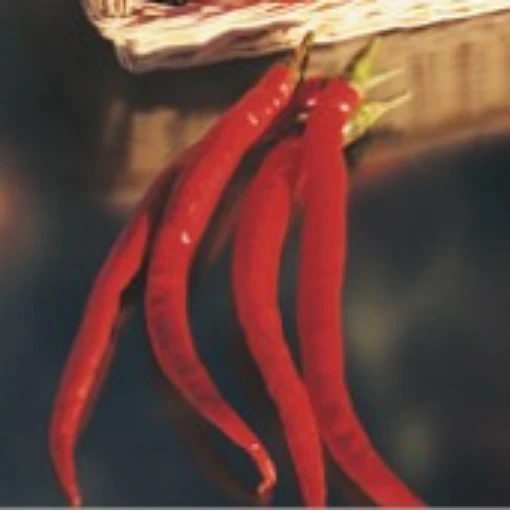 Joe's Long Cayenne Peppers HP621-20