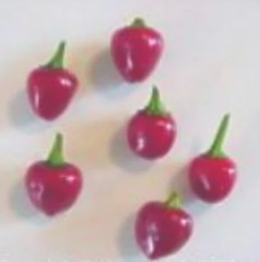 Kashmir Hot Peppers HP1021-20