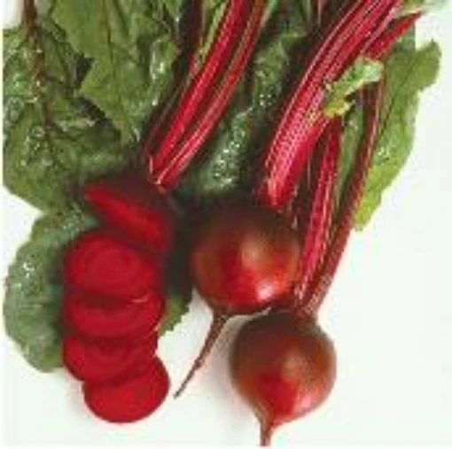 Kestral Beets BT16-50