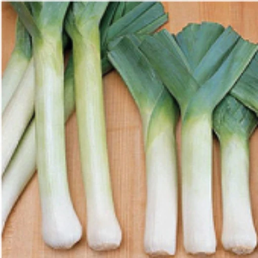 King Richard Leeks LK2-100