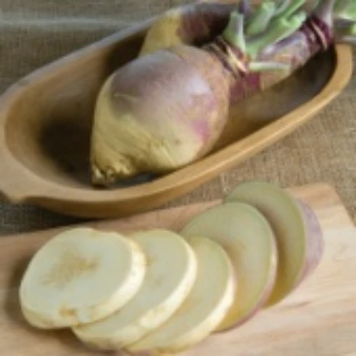 Laurentian Rutabaga RU2-100