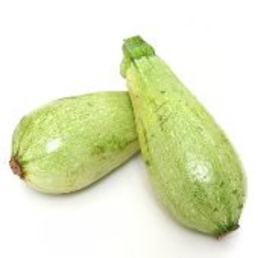 Lebanese White Bush Squash SQ48-20