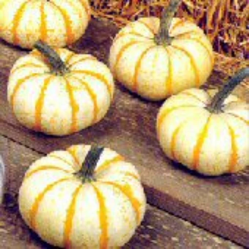 Lil Pump Ke Mon Pumpkins PM28-10