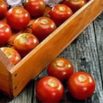 Long Keeper Tomato Seeds