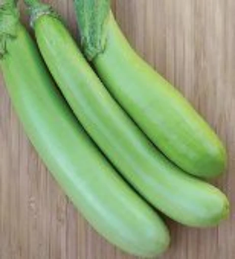 Louisiana Long Green Eggplants EG11-20