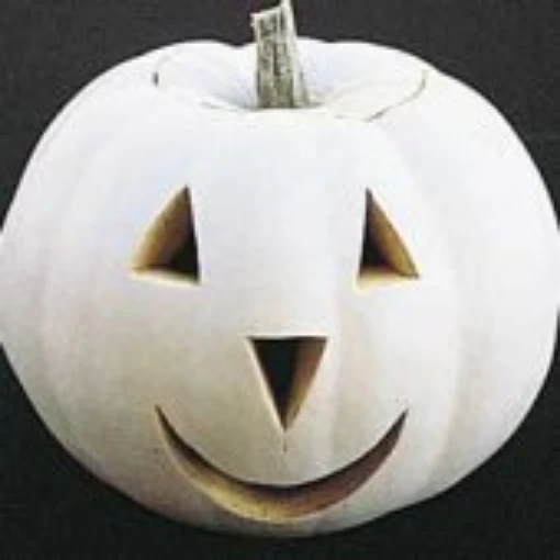 Lumina Pumpkins PVP PM8-10