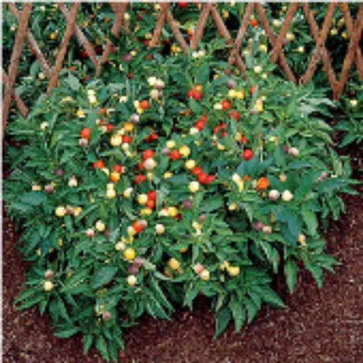 Marbles Hot Peppers HP148-10