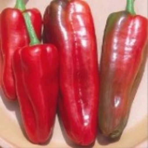 Marconi Sweet Peppers (Red Patio) SP235-20