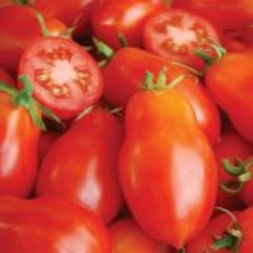 Martino's Roma Tomato Seeds