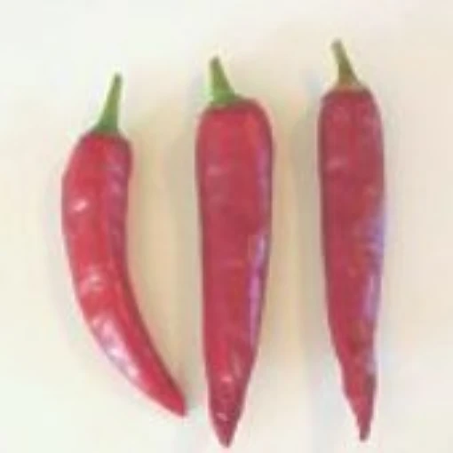 Masuto Hot Peppers HP1023-20