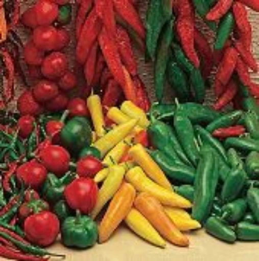 Mexican Mix Hot Peppers HP1971-20