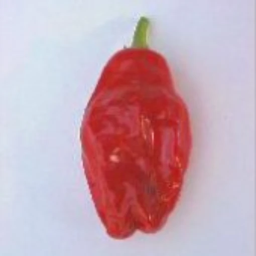 Monkey's Butt Hot Peppers HP1006-10