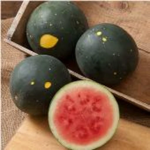 Moon & Stars Watermelons (Red Flesh) WM62-20