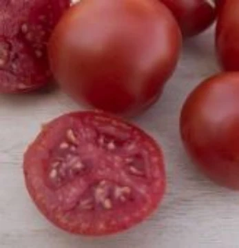 Moskvich Tomato Seeds