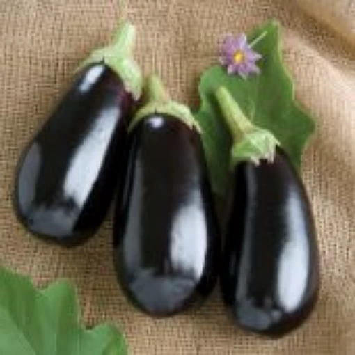 Nadia Eggplants EG36-20