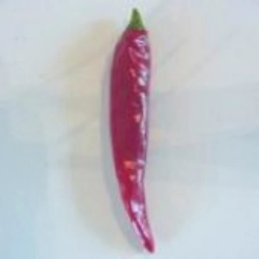 Nepalese Hot Peppers HP1015-20