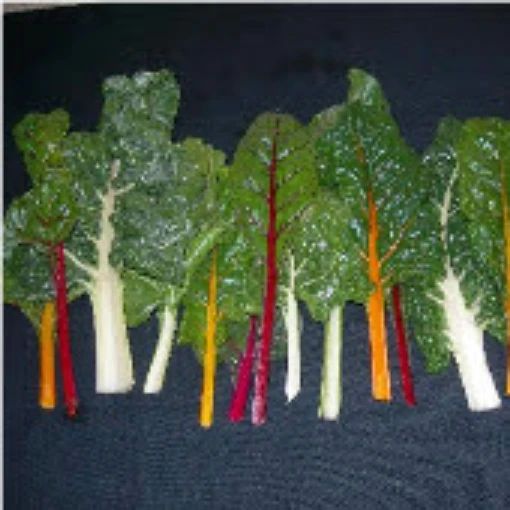 Northern Lights Mix Swiss Chard SW16-50
