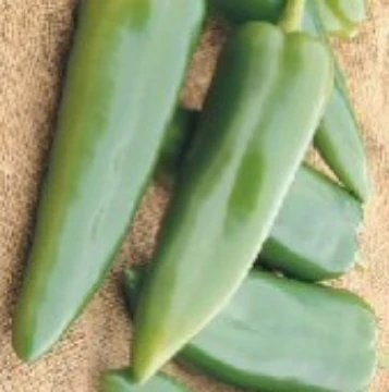 NuMex Joe E Parker Pepper Seeds
