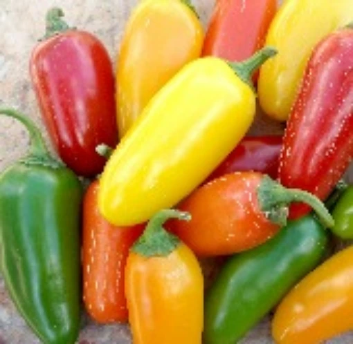 Numex Pinata Hot Peppers HP312-10