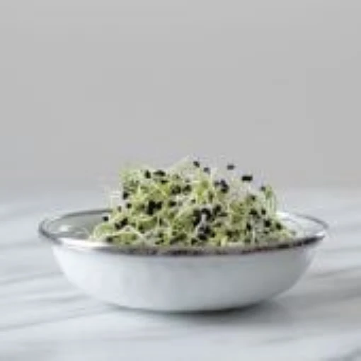 Onion Sprouting Seeds SS6-200