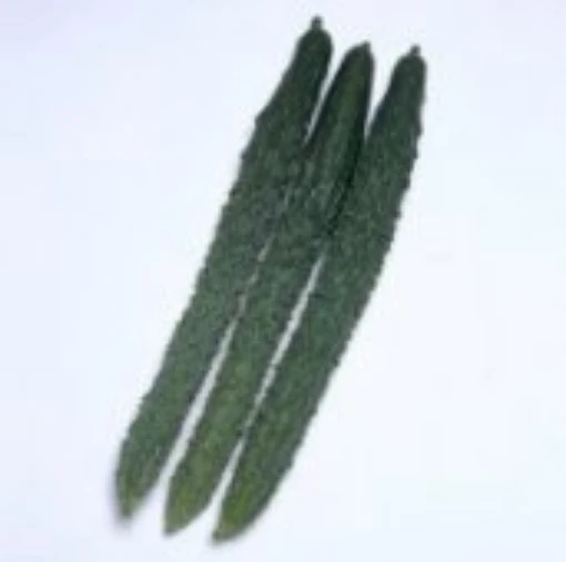 Palace Pride Cucumbers CU95-20