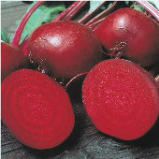 Perfected Detroit Beets BT18-50