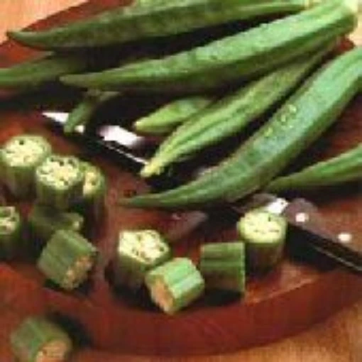 Perkins Dwarf Long Green Okra OK25-20