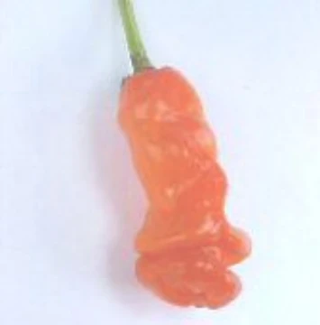 Peter Pepper Orange Seeds
