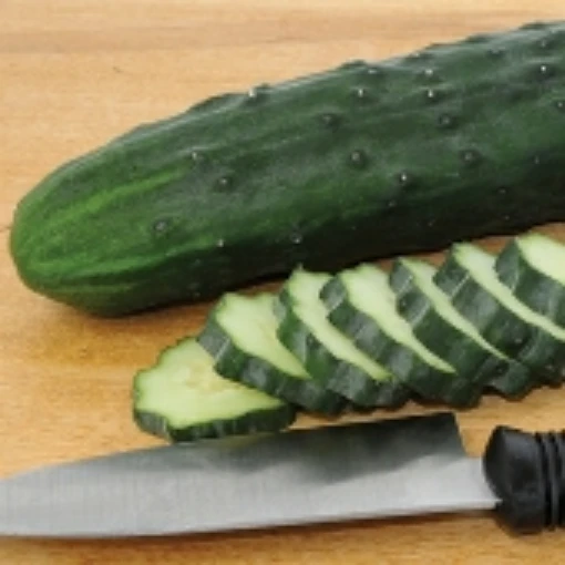 Poinsett 76 Cucumbers CU57-20