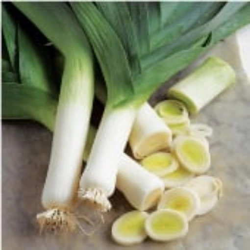 Prizetaker Leeks LK5-100