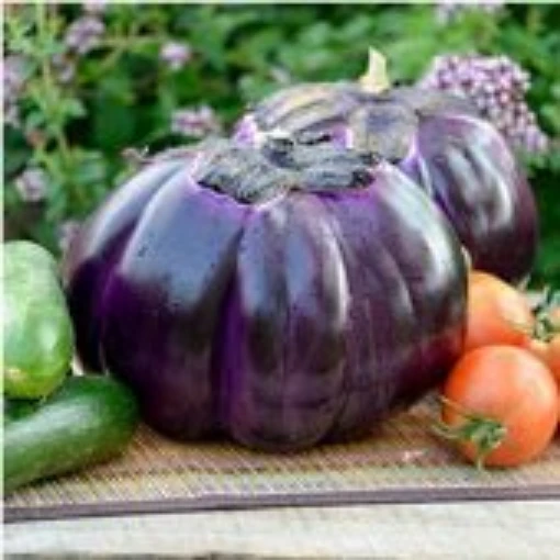Prosperosa Eggplants EG28-20