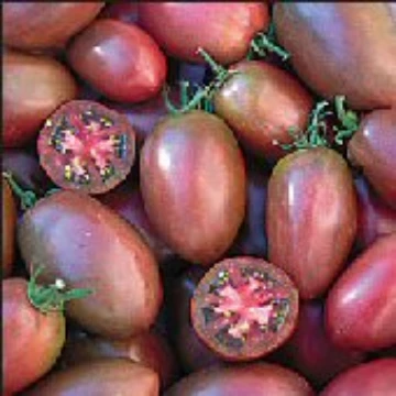 Purple Russian Tomato Seeds