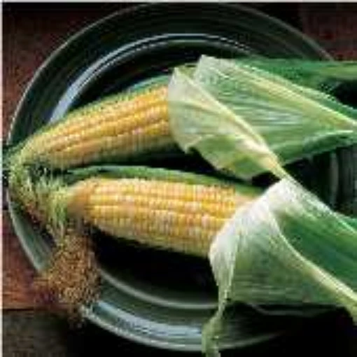 Quickie Corn CN5-50