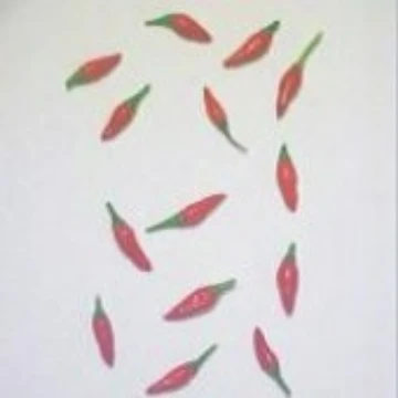 Rat's Turd Pepper Seeds