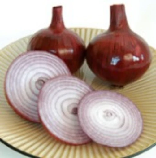 Red Bull Onions ON45-100