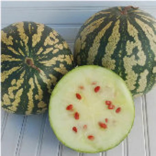 Citron Watermelons WM16-20_Base