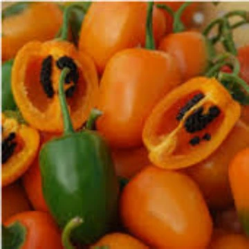 Rocoto Orange Pepper Seeds