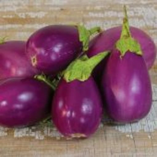 Rosita Eggplants EG43-20