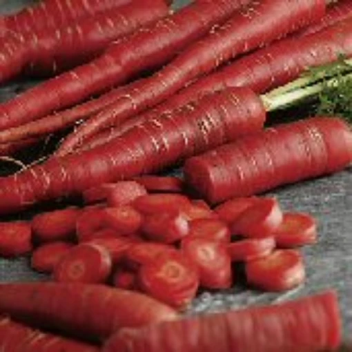Samurai Carrots CT37-100