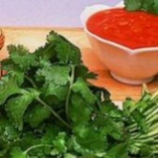 Santo Coriander HB126-50