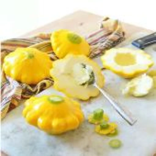 Scallop Yellow Squash SQ17-20