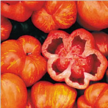 Schimmeig Striped Hollow Tomato Seeds