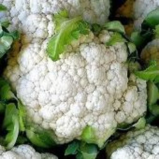 Self Blanche Cauliflower CF5-50