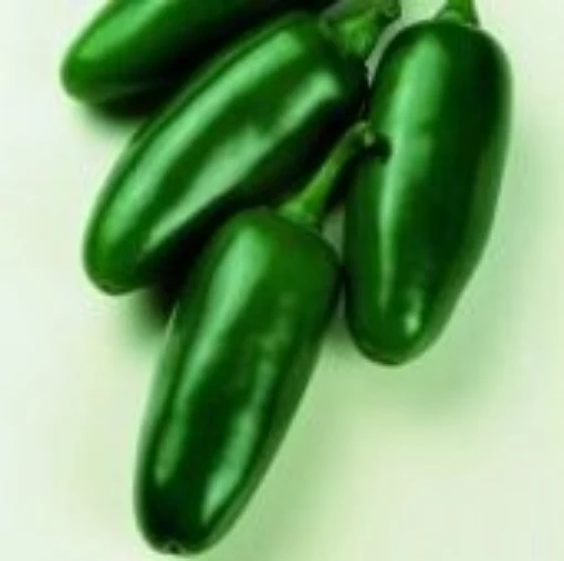 Senorita Hot Peppers HP215-10