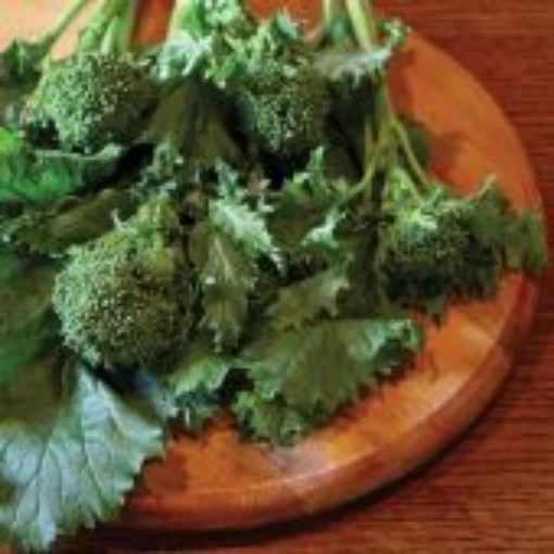 Sorrento Broccoli Raab BR21-50