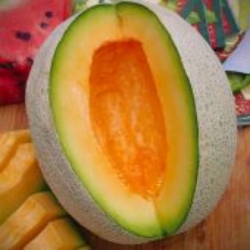 Sierra Gold Melons CA11-20